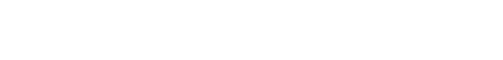 Vallebus